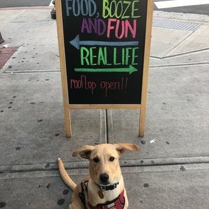 Meet your Posher, Meri